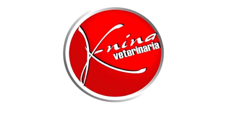 Empresa 9
